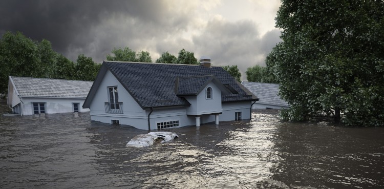 Assurant Flood Solutions