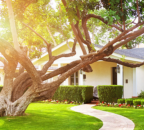 mortgage assurant